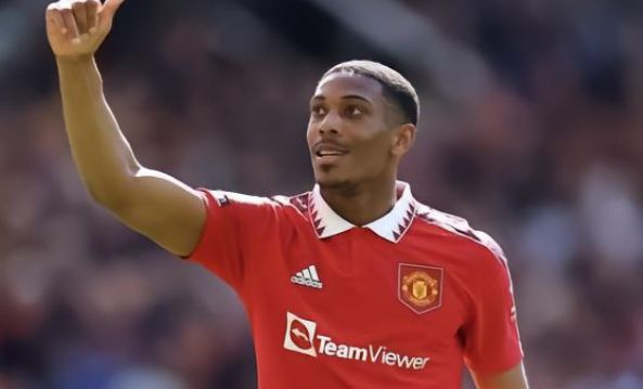 的实力和毅 的实力和毅